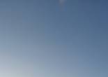 20230117_113336 (Large).jpg (352194 bytes)
